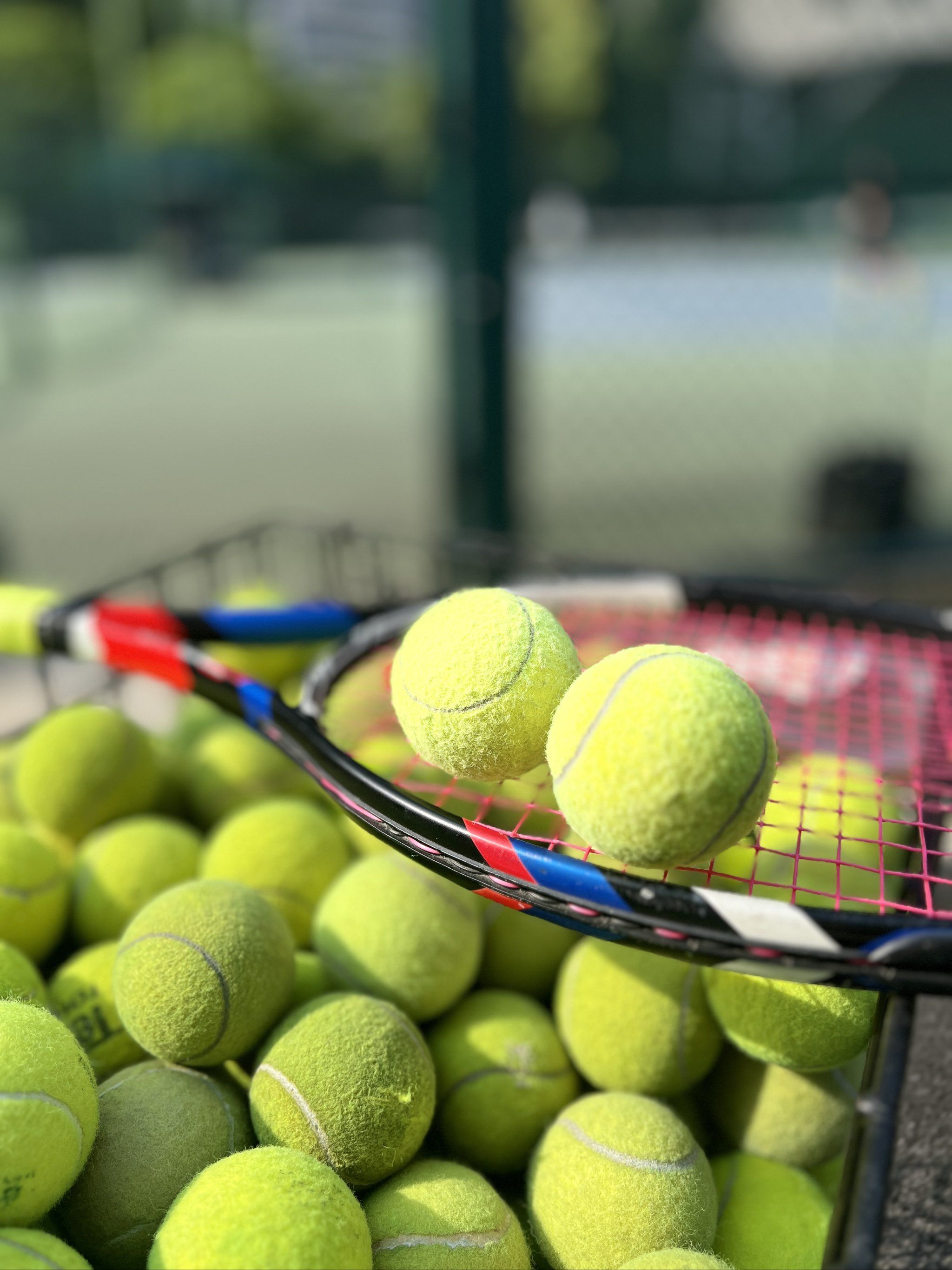 国王目前已 国王目前已