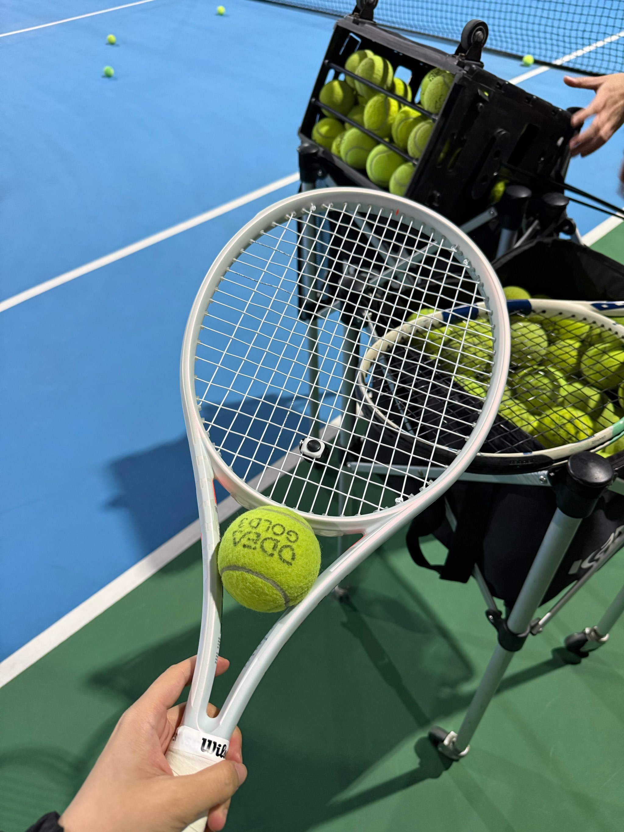 一支东南亚 一支东南亚